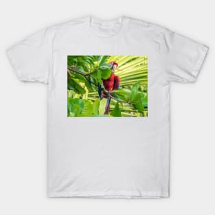 The Scarlet Macaw T-Shirt